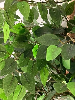 Planta Ficus Artificial 180cm