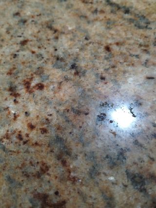 Pulidora Suelo Electrolux