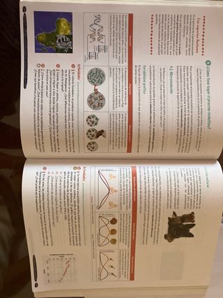 Biología y Geología 4º ESO. Libro del estudiant...