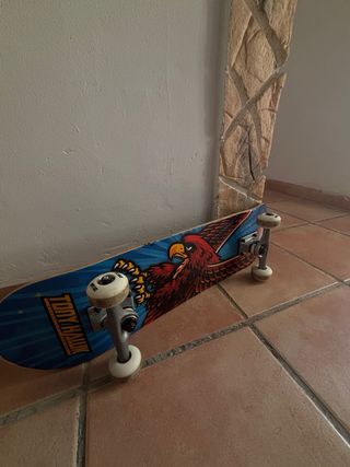 Skate Vans