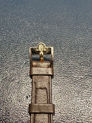 Correa de piel de becerro Omega