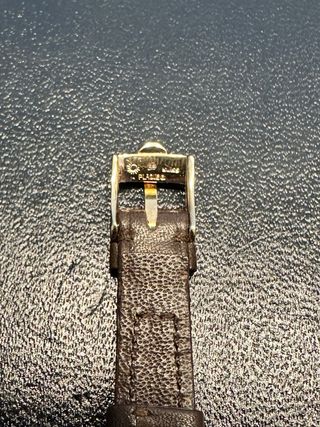 Correa de piel de becerro Omega