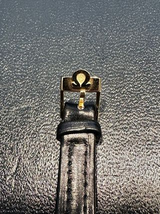 Correa de piel Omega negra