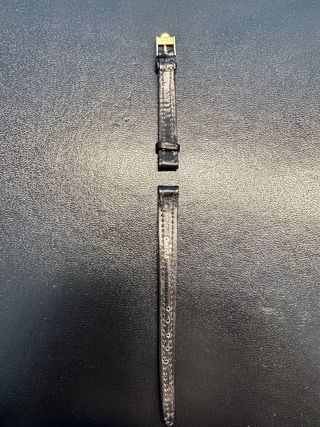 Correa de piel Omega negra