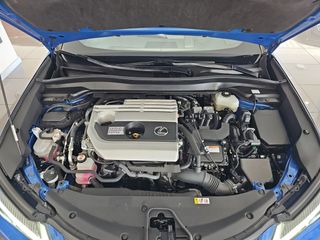 Lexus UX 2.0 250h F Sport