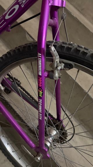 Bici GAC Crown Aluminio