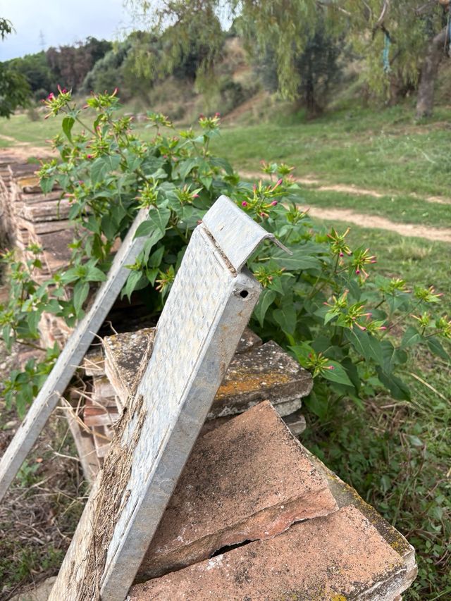 rampas remolque cuni