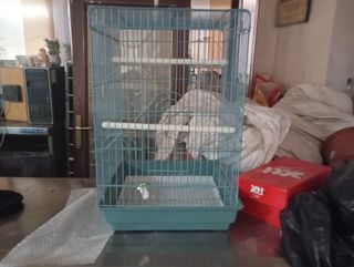 Jaula para pájaros color verde azulado