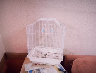 Jaula para pájaros blanca