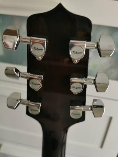 Guitarra Acústica Takamine G Series