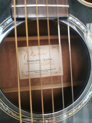 Guitarra Acústica Takamine G Series