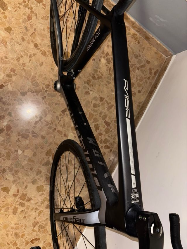 Cuadro Megamo Raise Talla M