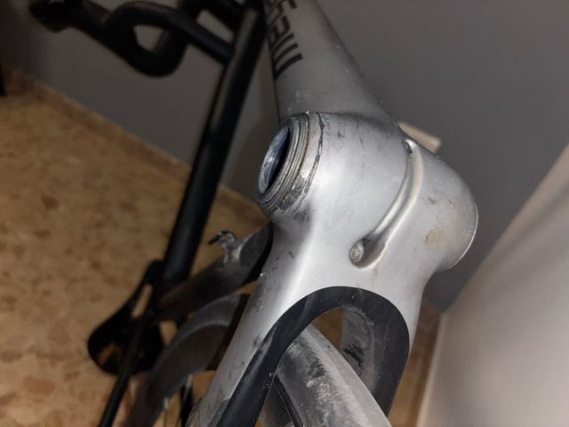 Cuadro Megamo Raise Talla M