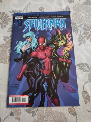 Spiderman marvel knights