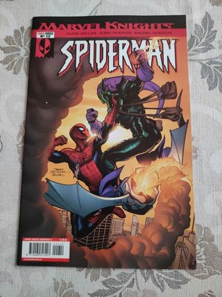 Spiderman marvel knights