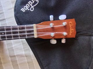 Ukulele Cordoba concerto da 10 cm, Guitarlele.