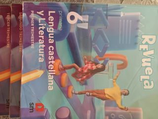 Libro de lengua castellana y literatura