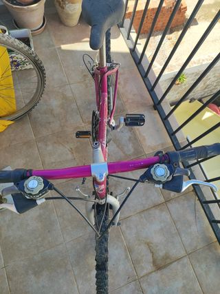 Bicicleta rosa