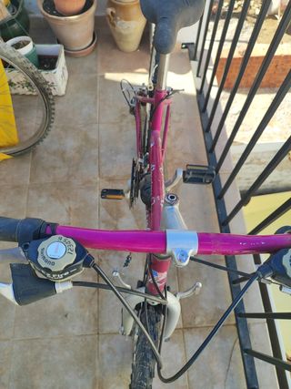 Bicicleta rosa