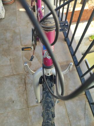Bicicleta rosa
