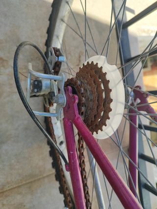 Bicicleta rosa