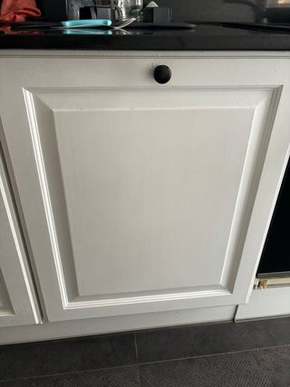 Lavavajillas integrable