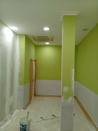 Pintor económico y de primera CALIDAD 
