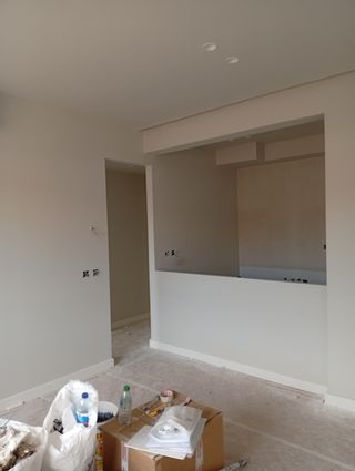 Pintor económico y de primera CALIDAD 