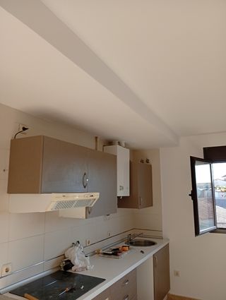 Pintor económico y de primera CALIDAD 