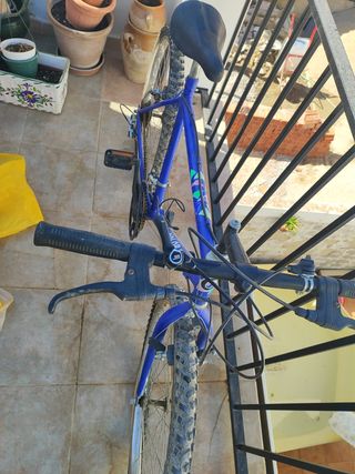 Bicicleta de montaña azul