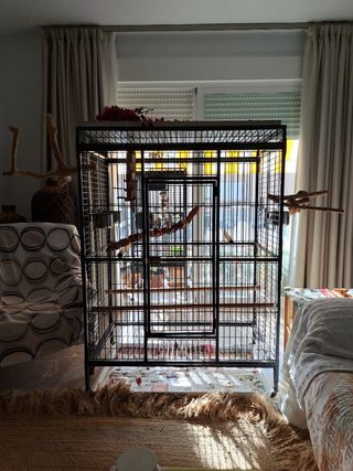 Jaula grande para loros