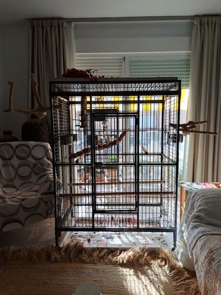 Jaula grande para loros