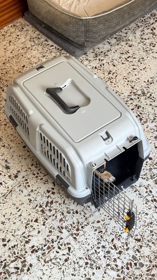 Transportín para perros – seguro y cómodo