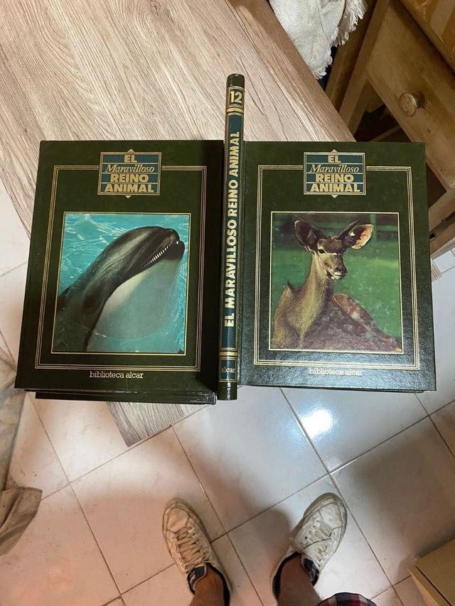 Libros y enciclopedia