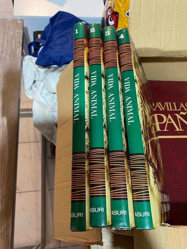 Libros y enciclopedia