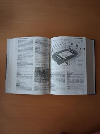 Nou diccionari escolar de la llengua catalana