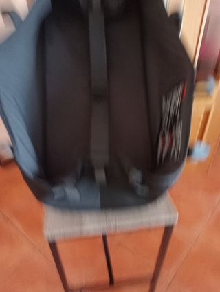 Capazo Bugaboo Camaleón