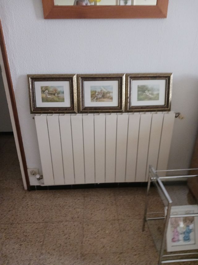 3 Cuadros  cada una 3€ 32x26cm