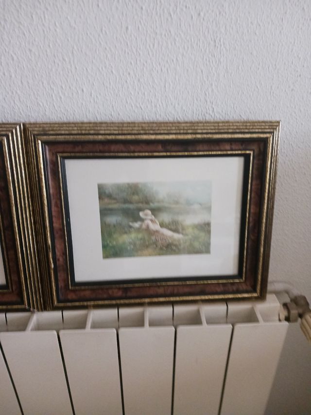 3 Cuadros  cada una 3€ 32x26cm