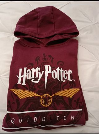 Sudadera Harry Potter Quidditch