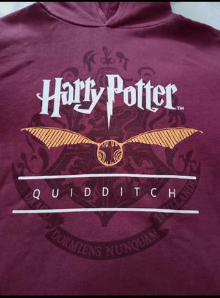 Sudadera Harry Potter Quidditch