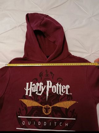 Sudadera Harry Potter Quidditch