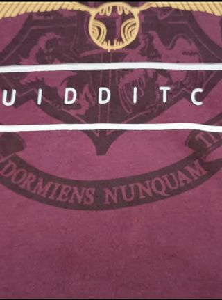 Sudadera Harry Potter Quidditch