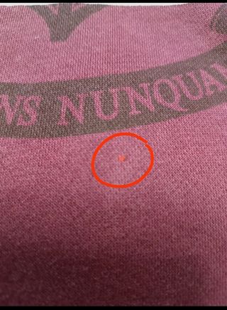 Sudadera Harry Potter Quidditch