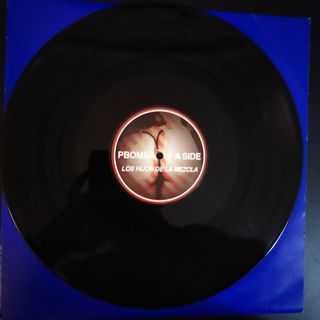 2009 TECHNO los hijos de la mezcla Vinilo Maxising