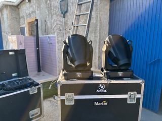 Lote 12 Cabezas Martin Viper Oferta
