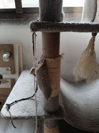 Torre de juego para gatos 2m