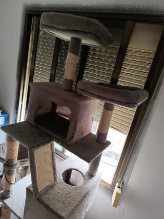 Torre de juego para gatos 2m