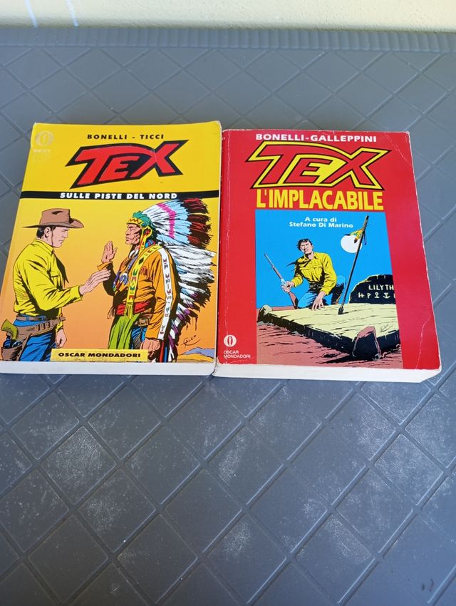 Tex , l'implacabile - Tex, sulle piste del nord
