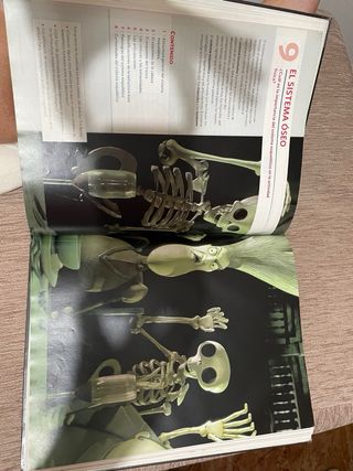 ANATOMIA APLICADA (AULA 3D)